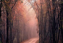 乒乓球——亚洲杯:蒯曼胜伊藤美诚.