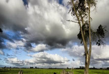 斯诺克世界大奖赛,丁俊晖首轮出局九派新闻.