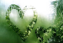 蓝鲸体育:郑钦文或迎一日双战 WTA1000迪拜站今日赛程来了央视新闻客户端.