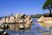 官方:法国网球女将科内特宣布复出,将参加鲁昂站比赛.